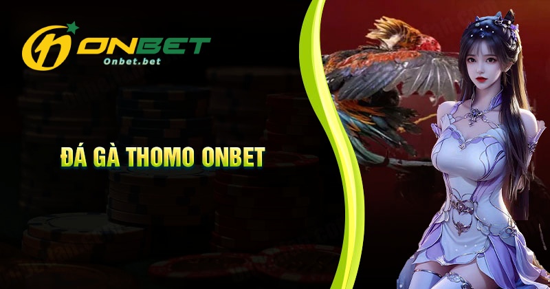 Lý do đá gà Thomo Onbet được nhiều người chơi yêu thích